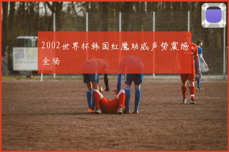 2002世界杯韩国红魔助威声势震撼全场