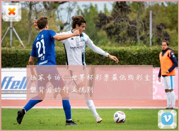 独家专访：世界杯彩票最低购彩金额背后的行业规则